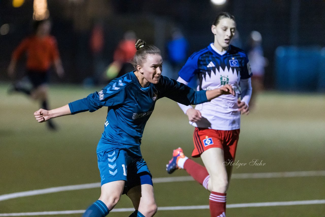 Bild 197 - F SC Alstertal-Langenhorn - Hamburger SV 3 : Ergebnis: 2:2